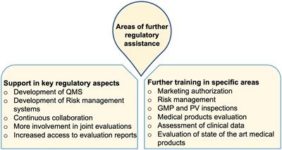 Collaborative training of regulators as an approach for strengthening regulatory systems in LMICs: experiences of the WHO and Swissmedic